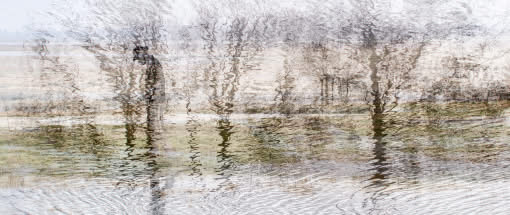 Expressive Fotografie zwischen Kunst und Moor