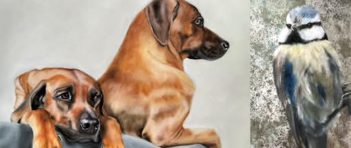 Tierportraits mit Seele - Mehr als Fell und Federn