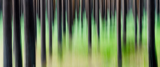 Künstlerische Naturfotografie im Künstlerdorf